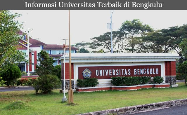 3 Informasi Universitas Terbaik di Bengkulu Lengkap dengan Jurusannya