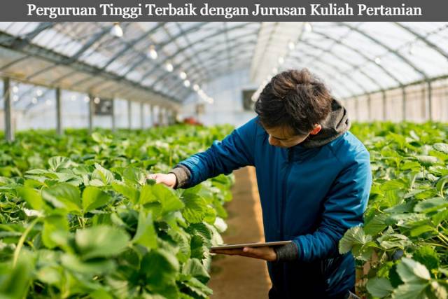 5 Referensi Perguruan Tinggi Terbaik dengan Jurusan Kuliah Pertanian